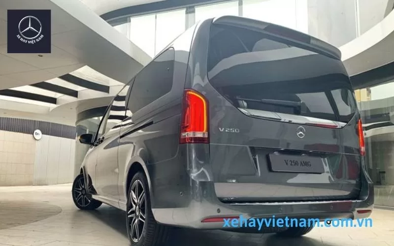 Mercedes V 250 AMG Mercedes V250 AMG 10