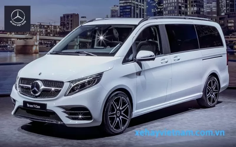 Mercedes V 250 AMG Mercedes V250 AMG 20